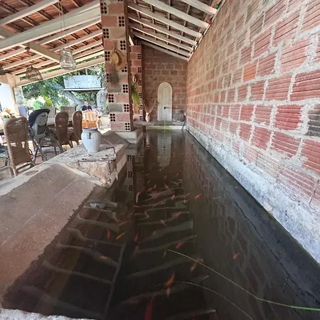 Villa Maison Bord Du Canal Du Midi - 3 *