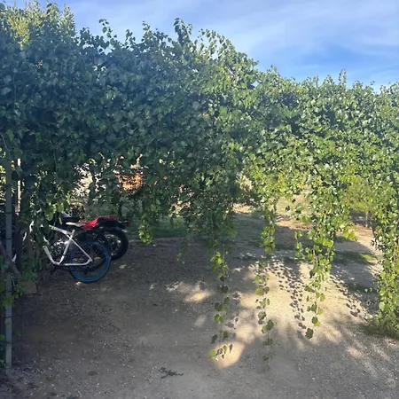 Maison Bord Du Canal Du Midi - 3