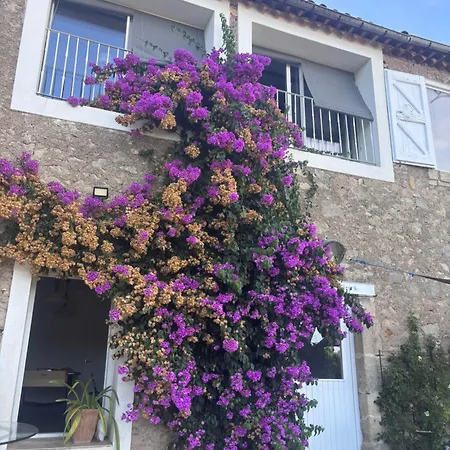 Villa Maison Bord Du Canal Du Midi - 3 Béziers